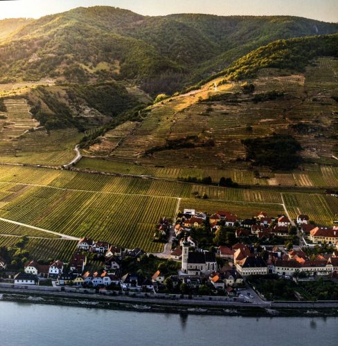 016 Lundi en excursion - Les coteaux viticoles dans la vallée du Danube