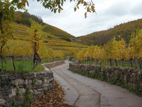 025 En route pour Chypre